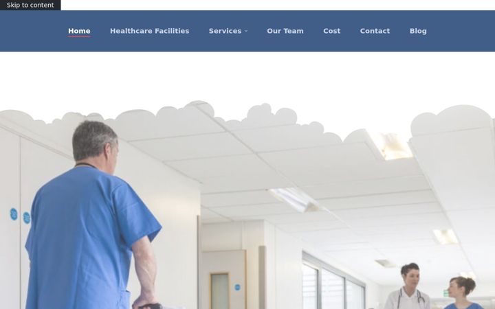 Screenshot of medicprojects.com
