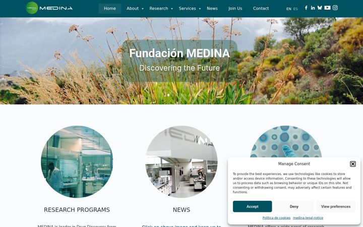 Screenshot of medinadiscovery.com