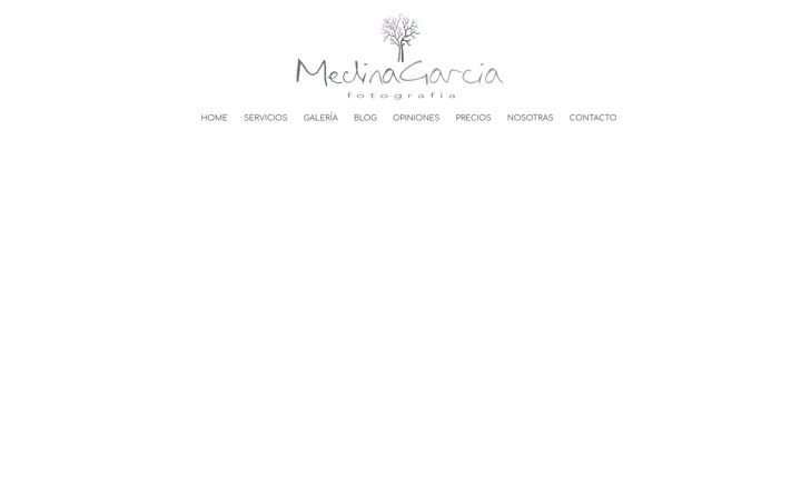 Screenshot of medinagarciafotografia.com