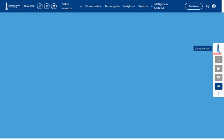 Screenshot di mediterranean-consulting.com