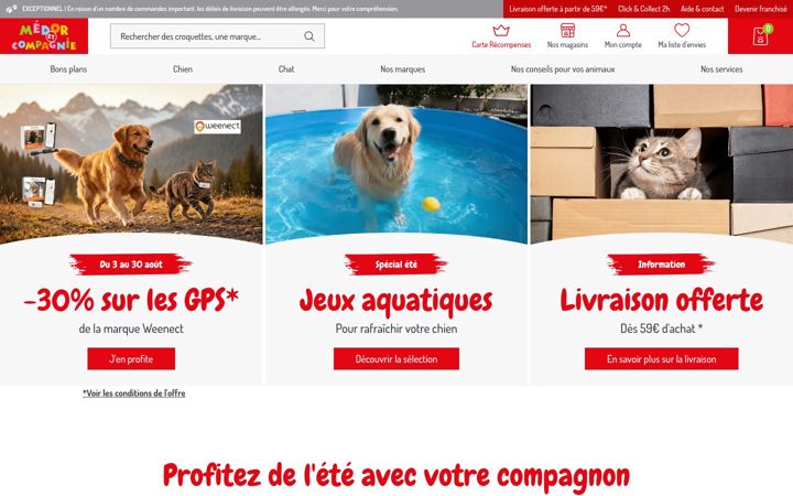 Screenshot of medoretcie.com
