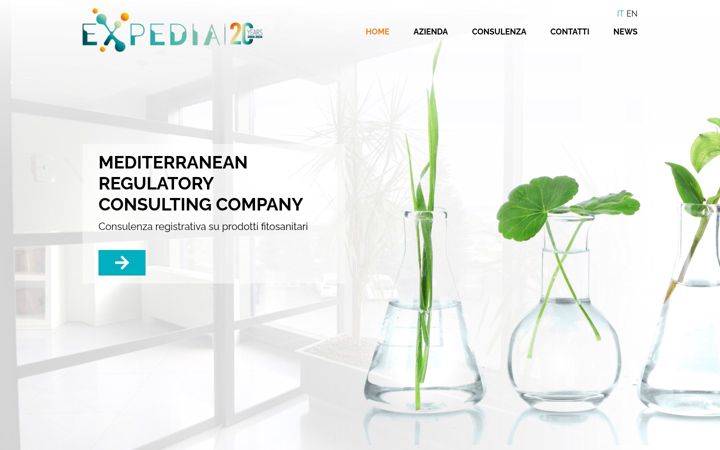 Screenshot of medregexpedia.com