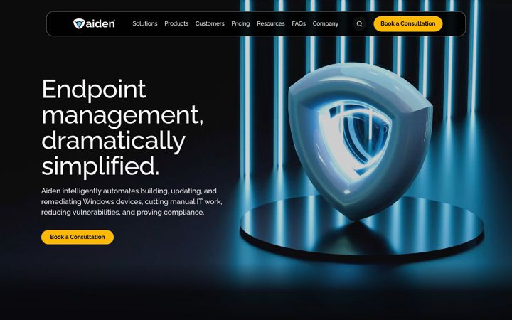 Screenshot of meetaiden.com