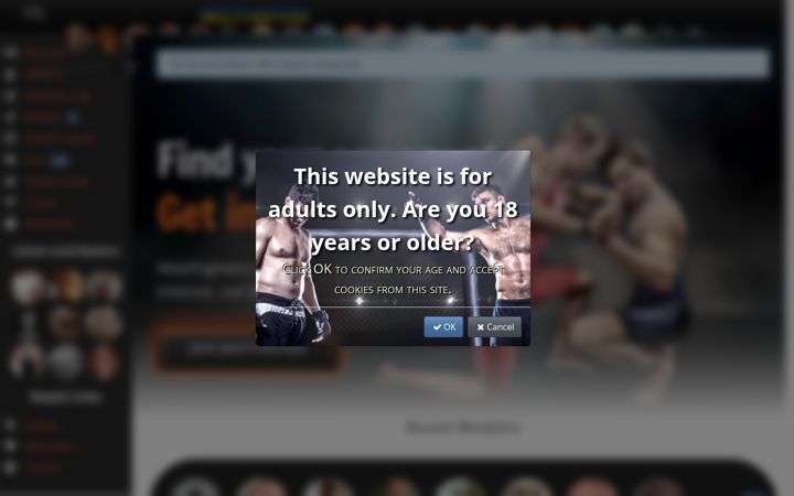 Screenshot of meetfighters.com