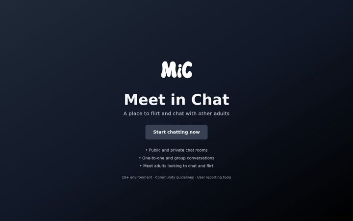 Screenshot of meetinchat.com