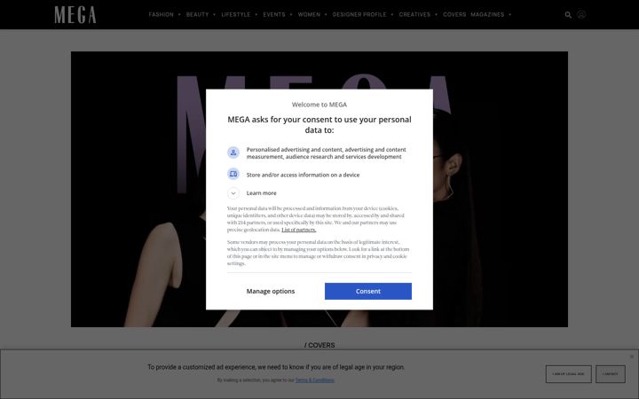 Snímek obrazovky mega-asia.com