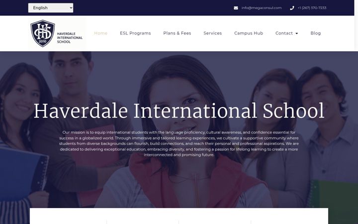 Screenshot of megaconsul.com