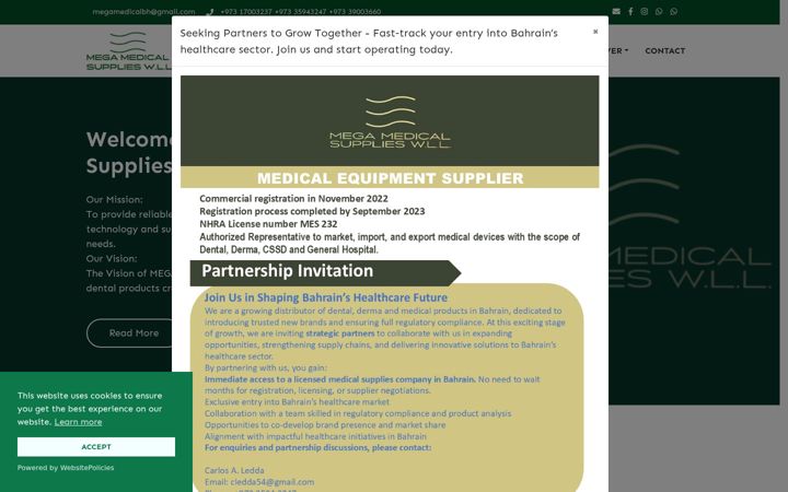 Screenshot of megamedicalproducts.com