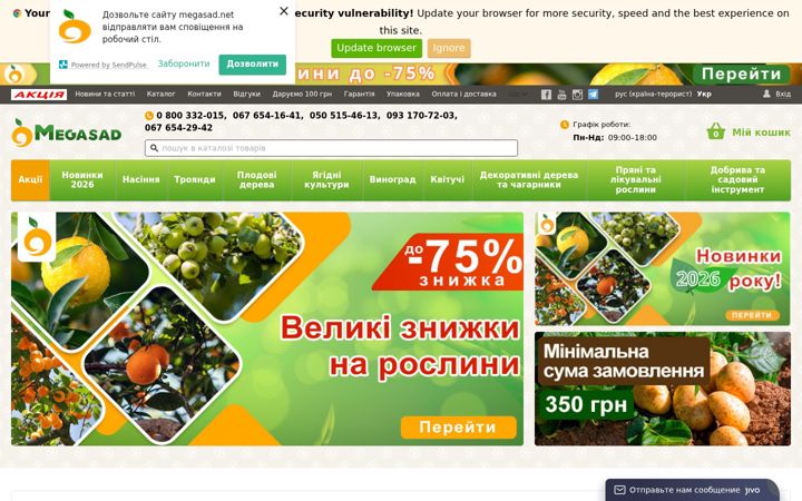Screenshot ta' megasad.net