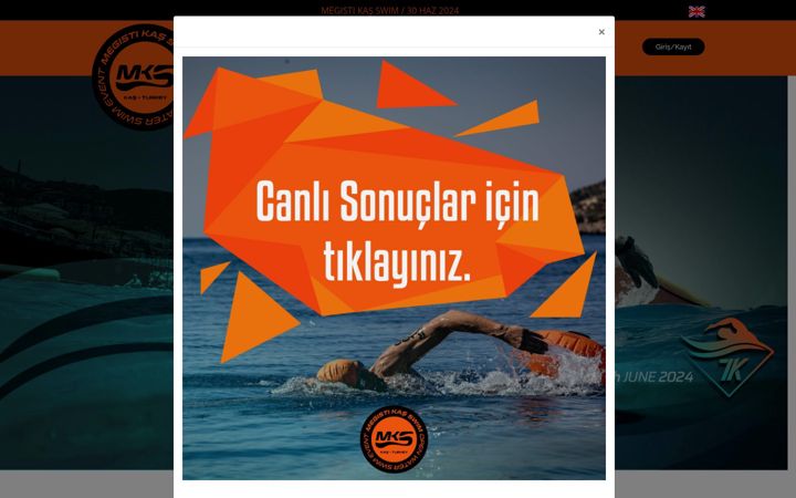 Screenshot of megistikasswim.com