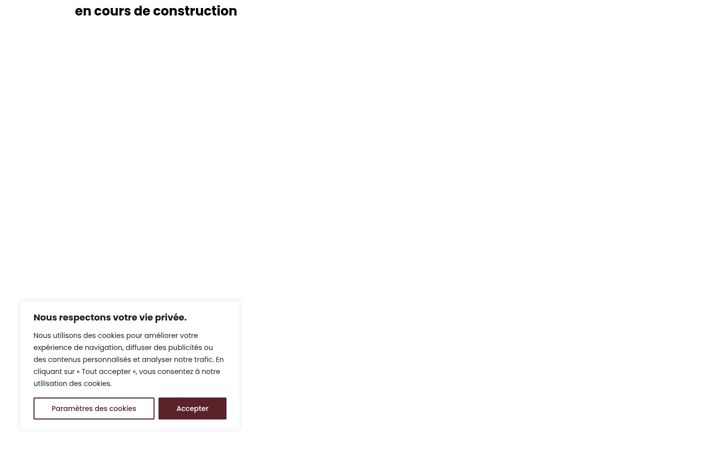 Screenshot of meilleur-sac-de-voyage.com