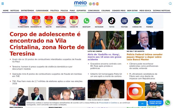Screenshot von meionorte.com