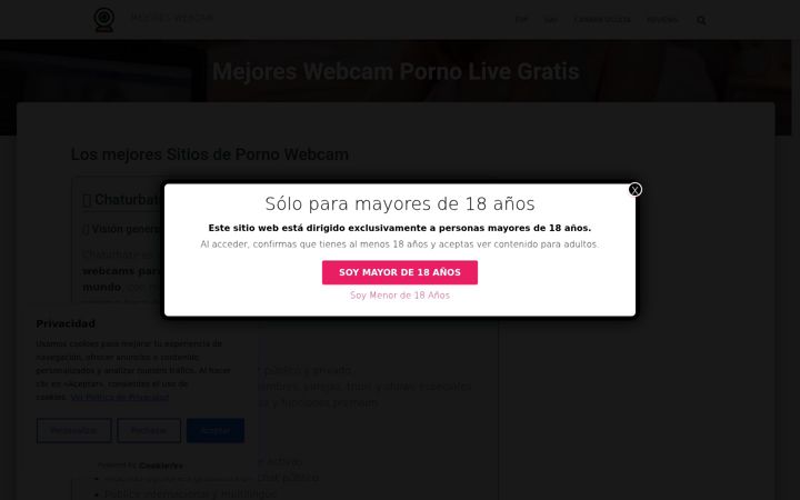 Screenshot of mejoreswebcam.com