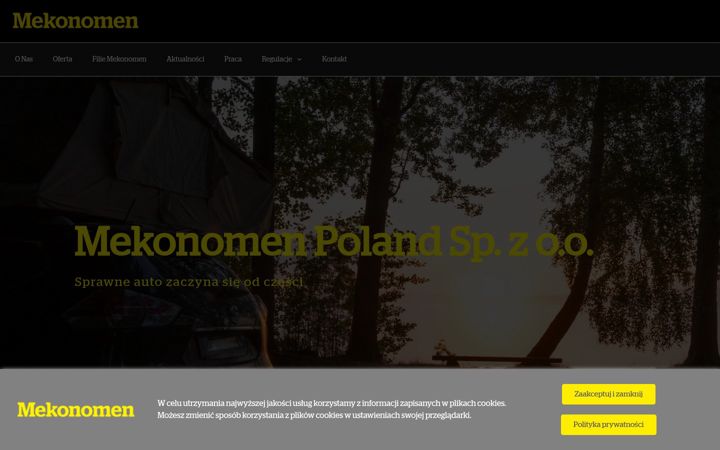 Screenshot of mekonomen.pl