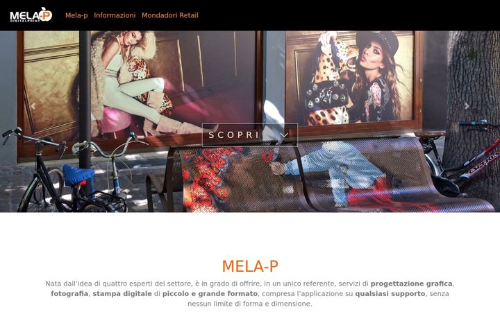 Capture d'écran de mela-p.com