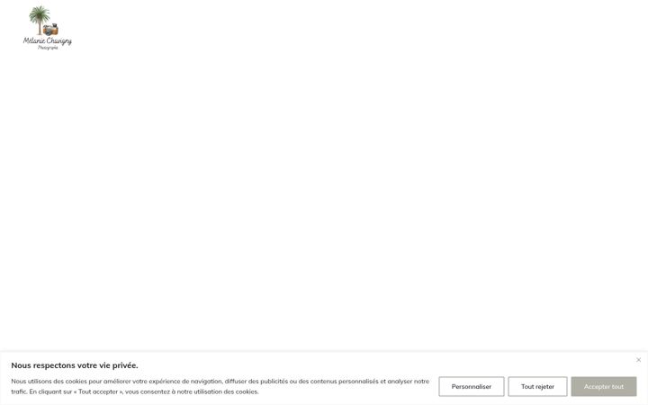 Screenshot of melaniechavigny.com