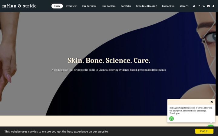 Screenshot of melanstride.com