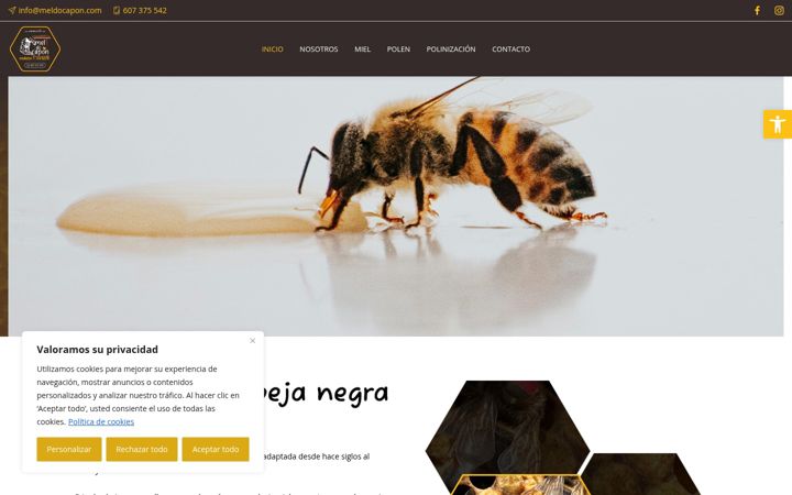 Screenshot of meldocapon.com