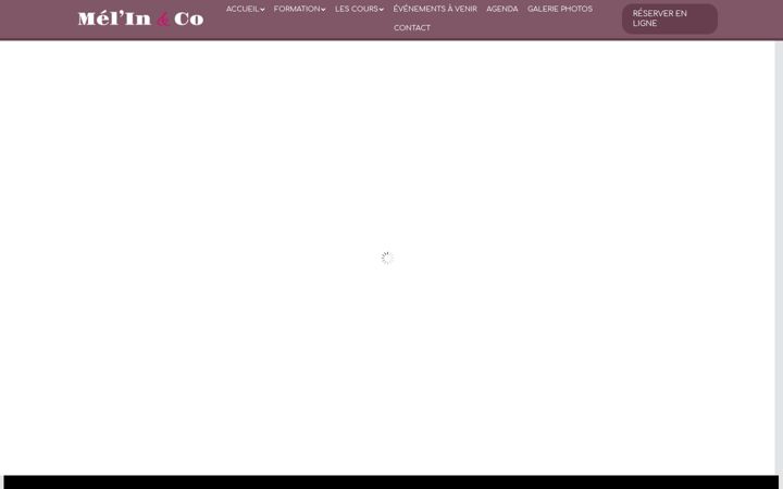 Screenshot of melinandco.com
