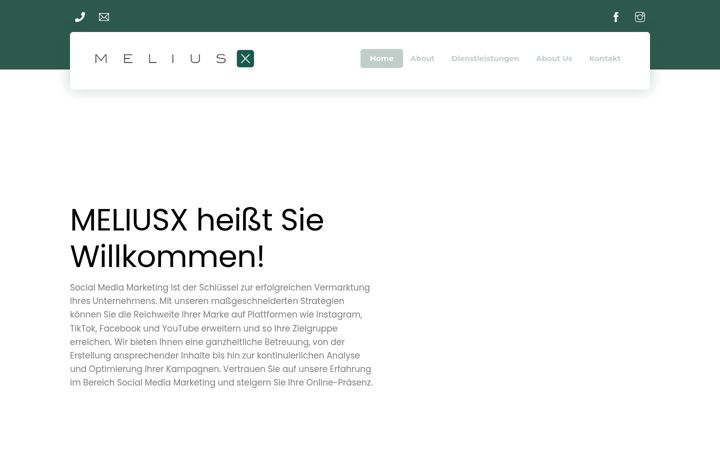Screenshot of meliusx.com