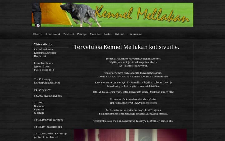 Screenshot of mellakan.com