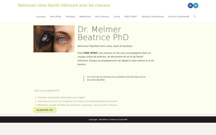 Screenshot of melmer-beatrice.com
