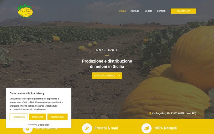 Screenshot of melonisicilia.com
