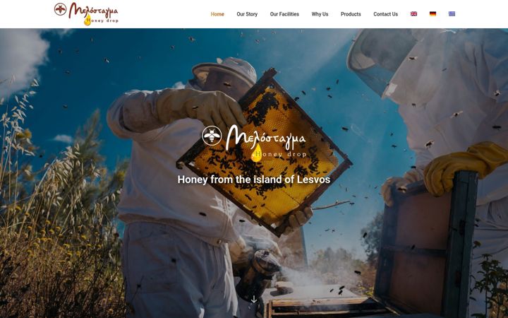 Screenshot of melostagma.com