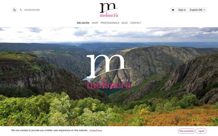 Screenshot of melsacra.com