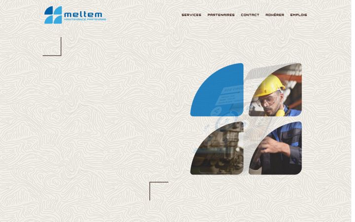 Screenshot of meltemsupport.com