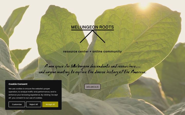 Zrzut ekranu melungeonroots.com