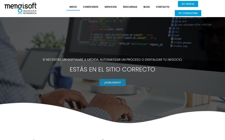 Screenshot of mengisoft.com