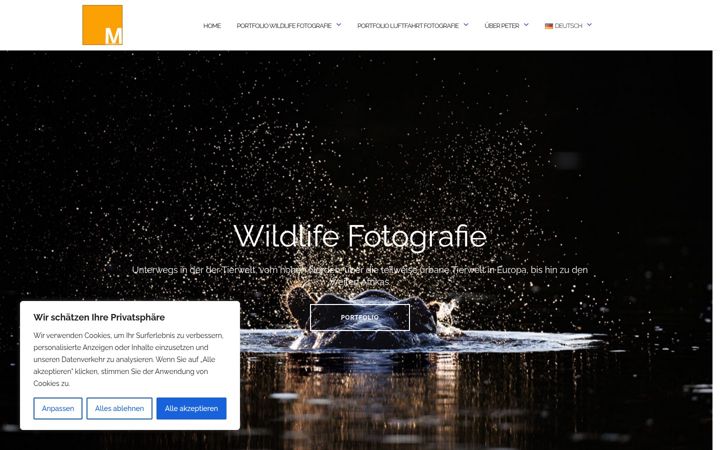 Screenshot of mennerphoto.com