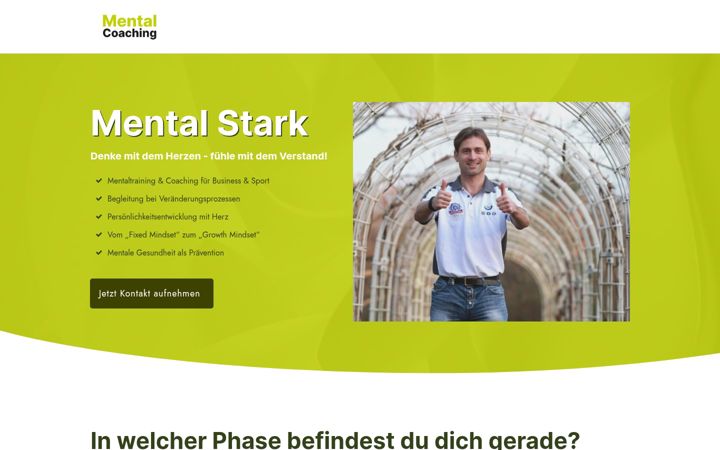 Screenshot of mental-stark.com