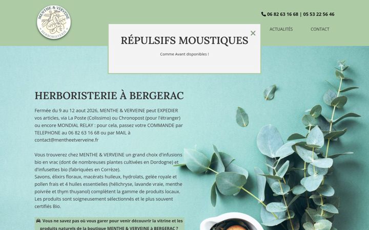 Screenshot of mentheetverveine.com