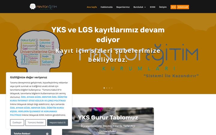 Screenshot of mentoregitimkurumlari.com