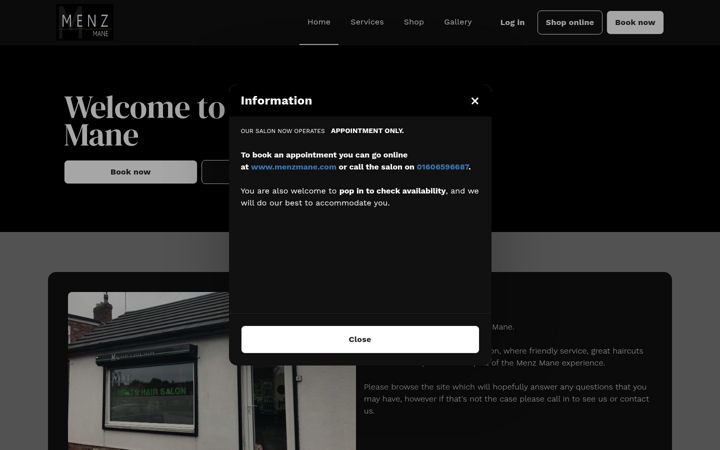 Screenshot of menzmane.com