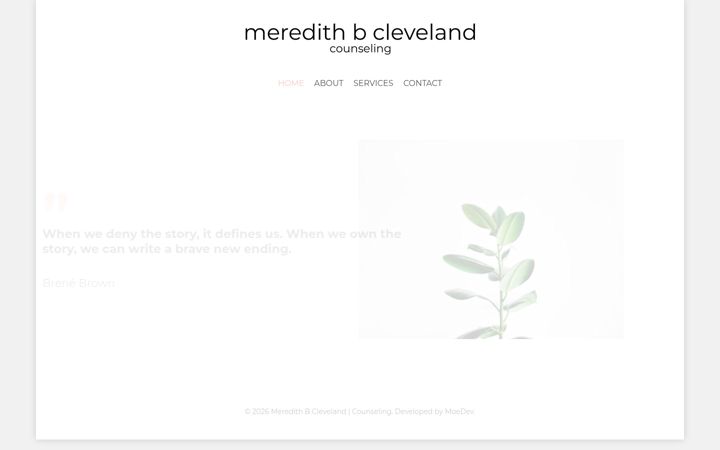 Screenshot of meredithbcleveland.com