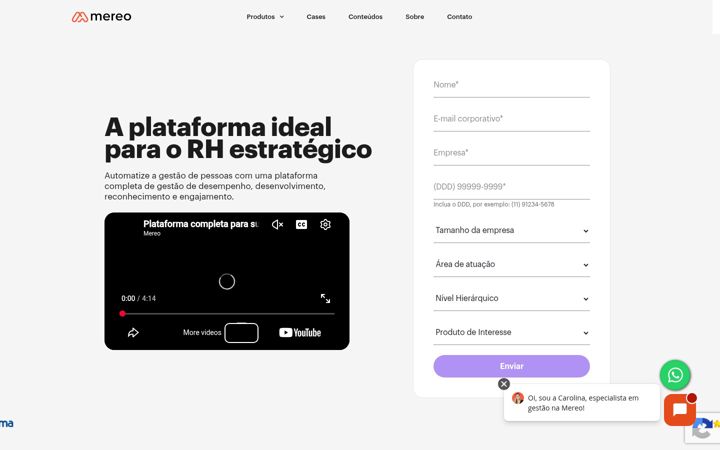 Screenshot of mereo.com