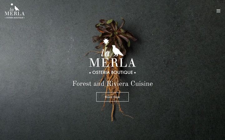 Screenshot of merladellemacine.com