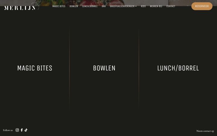 Screenshot of merlijn.com