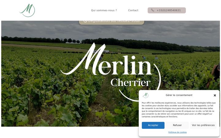 Screenshot of merlin-cherrier.com