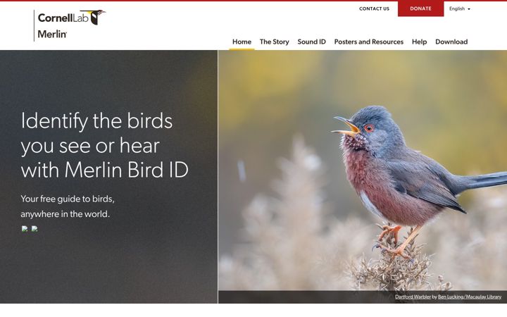 Screenshot of merlinbirds.org