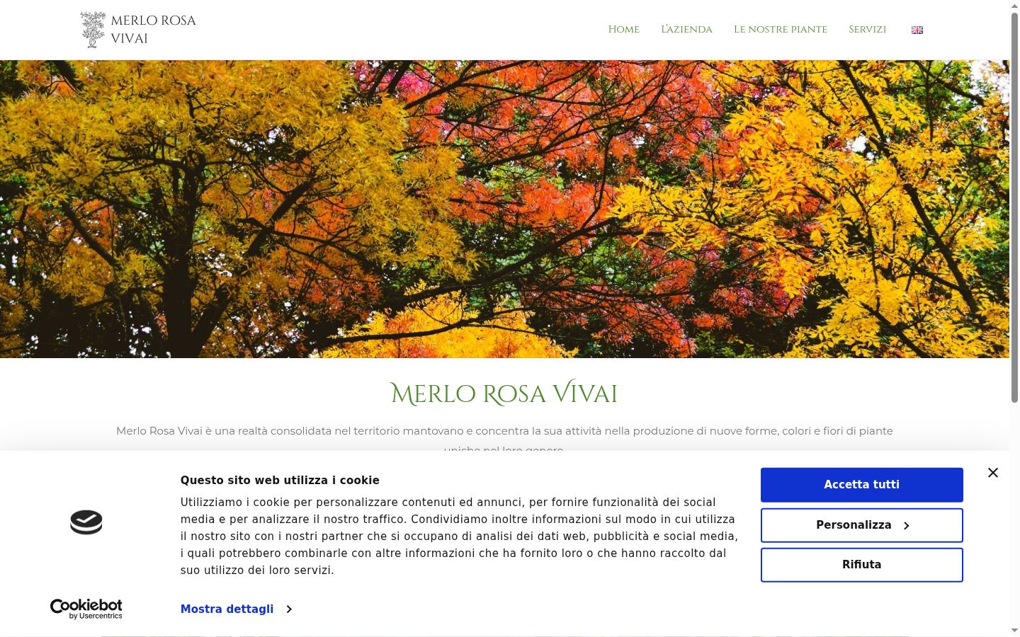 Screenshot del banner di consenso mostrato prima di qualsiasi interazione