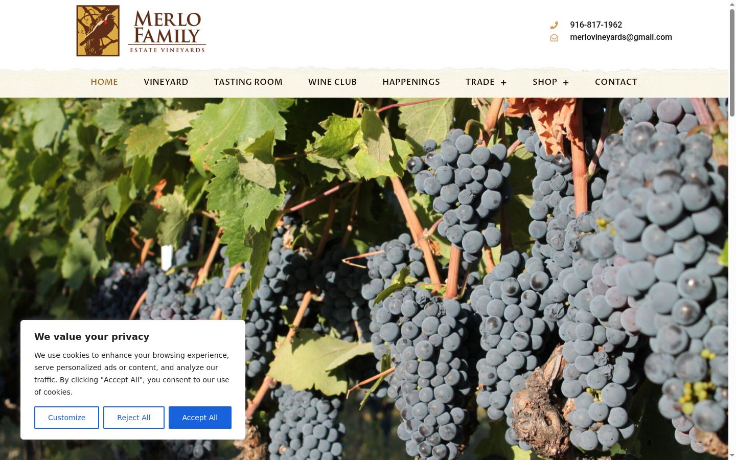 Screenshot del banner di consenso mostrato prima di qualsiasi interazione