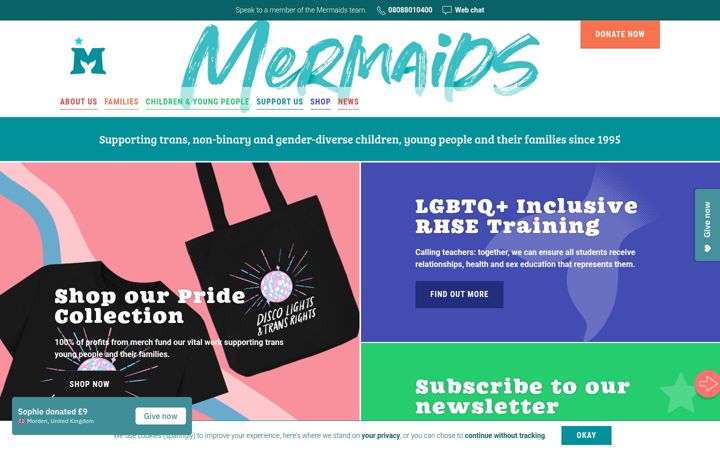Screenshot of mermaidsuk.org.uk
