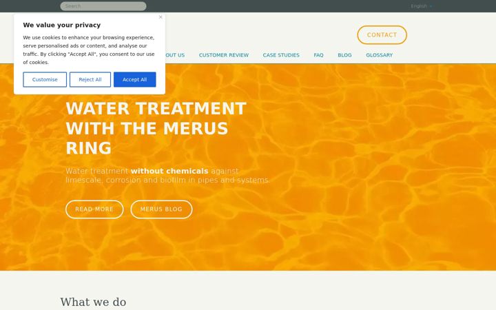 Screenshot of merusonline.com