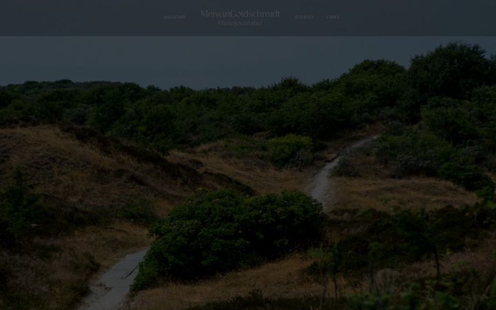 Screenshot of merwingoldschmidt.com