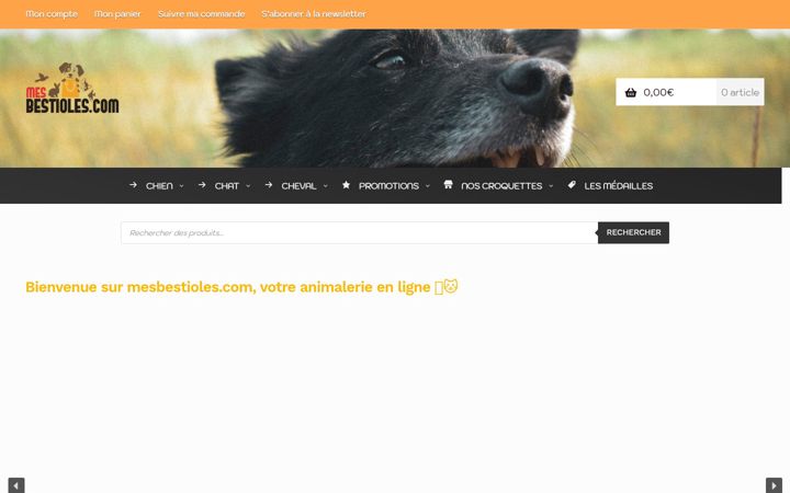 Screenshot of mesbestioles.com
