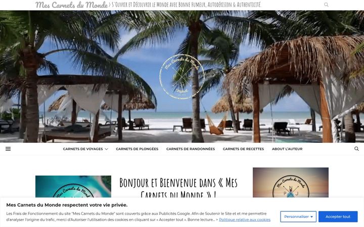 Screenshot of mescarnetsdumonde.com